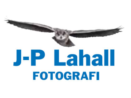 LAHALL FOTOGRAFI