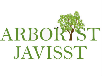 ARBORIST JAVISST