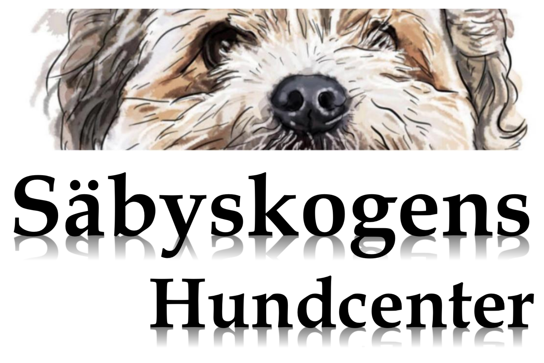 SÄBYSKOGENS HUNDCENTER